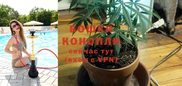 герыч Новозыбков