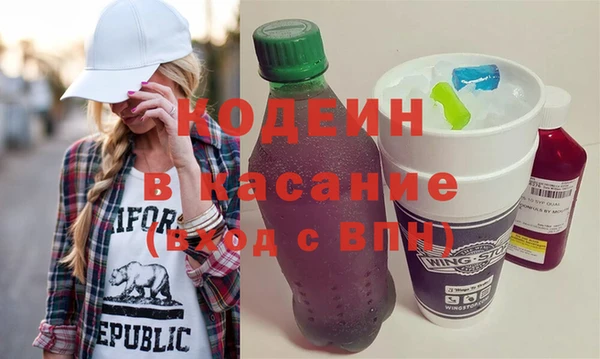 индика Верхний Тагил