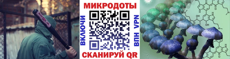 Псилоцибиновые грибы Psilocybe дарнет шоп Сортавала